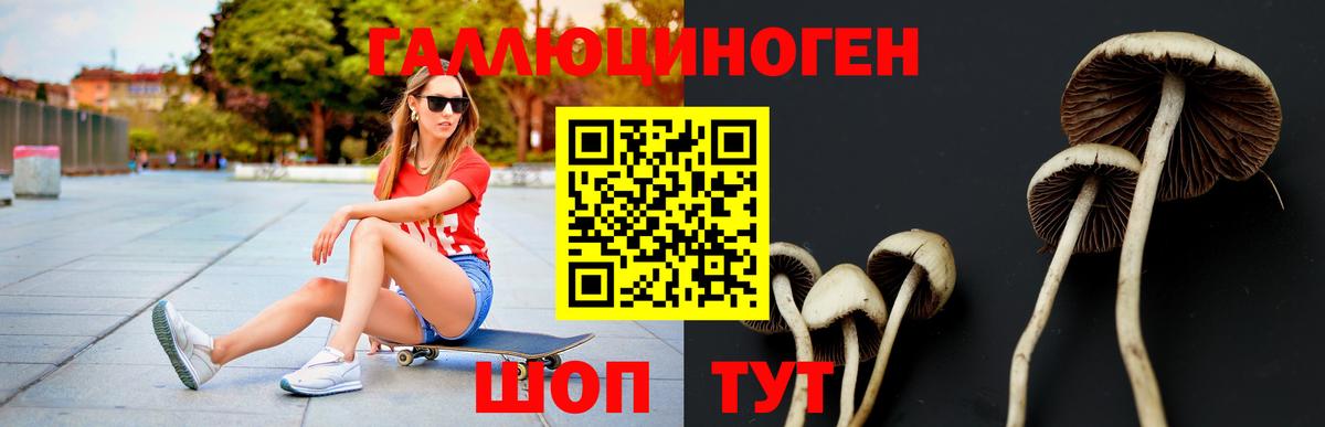 Псилоцибиновые грибы Psilocybe  Вход с VPN  Заволжье 